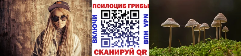 Галлюциногенные грибы Psilocybine cubensis  где найти   Приволжский 